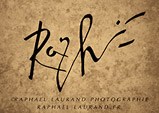 logo raphael